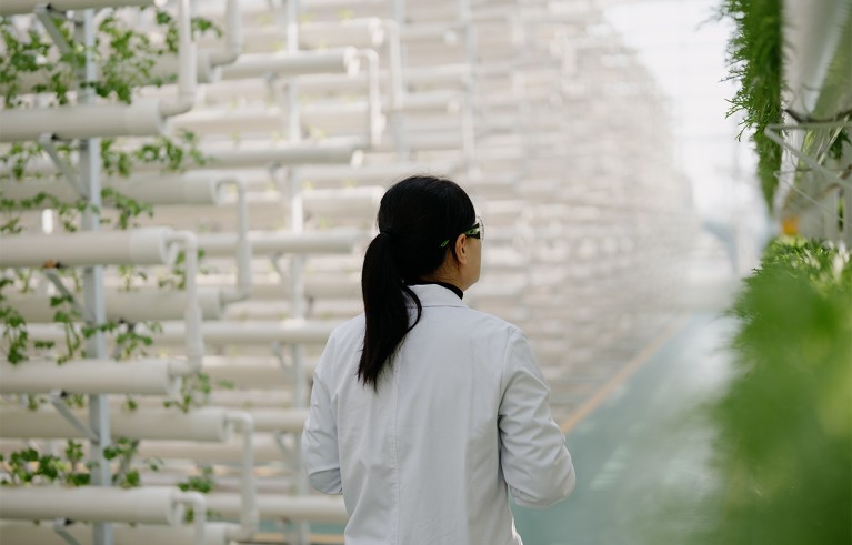 A scientist in a white lab coat inspecting rows of hydroponic growing pipes inside a bright vertical farm.