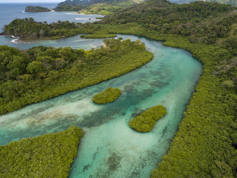 Aerial view of mangroves and sandbars winding along the Caribbean coastline in Venas Azules, Panama.