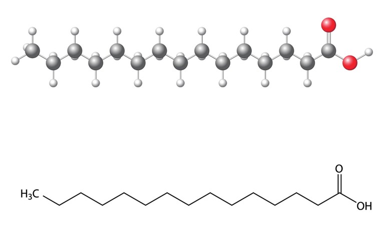 The long chemical chain fatty acid called pentadecanoic acid as a 2-dimensional and 3-dimensional illustration.