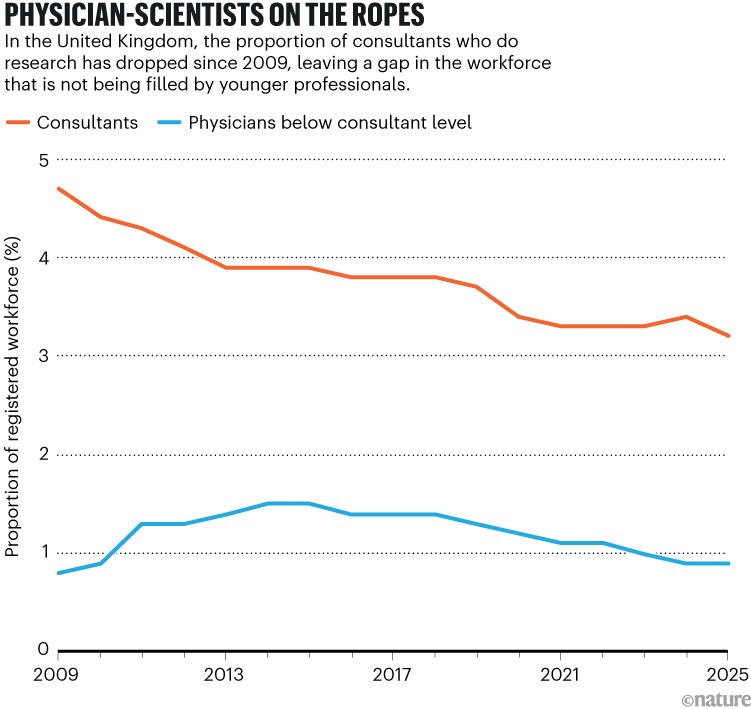 Physician-scientists on the ropes. Line graph showing the proportion of UK physicians involved in research from 2009 to 2025, with participation declining for consultants and physicians below consultant level.