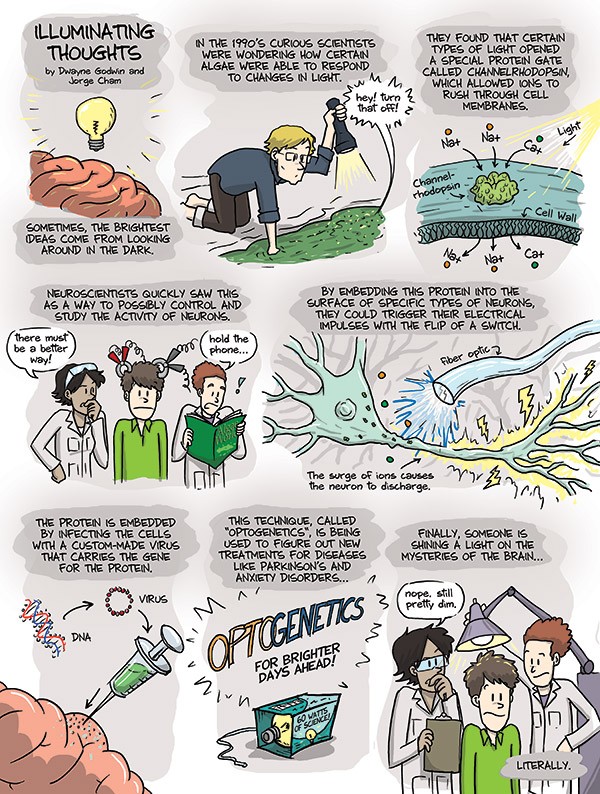 Cartoon Neuron Failure Daily briefing: Rogue ‘jumping genes’ age bigs dogs faster than little ...
