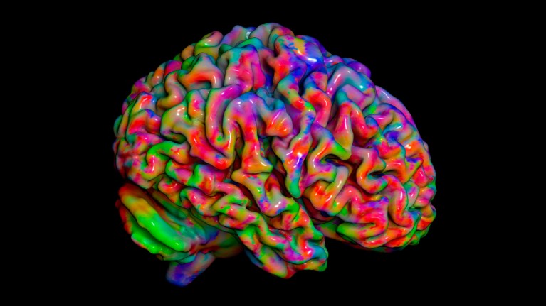 A 3D model of the human brain shown in bright rainbow colours against a black background.
