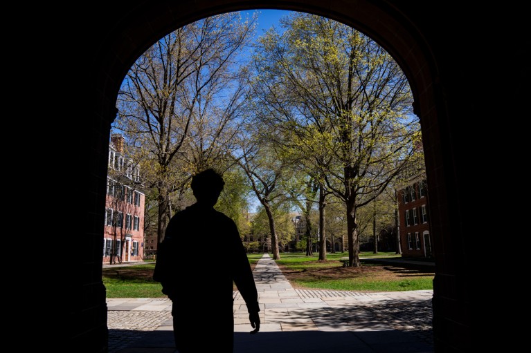 Silhouette of a person standing beneath an archway, looking out onto a tree-lined courtyard at the Yale University campus