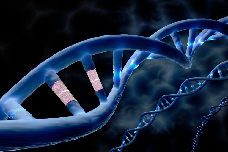 Close-up illustration of a DNA double helix with two highlighted segments and smaller DNA strands in the background