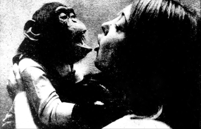 Black-and-white photograph of neuroscientist Laura-Ann Petitto holding a chimpanzee.