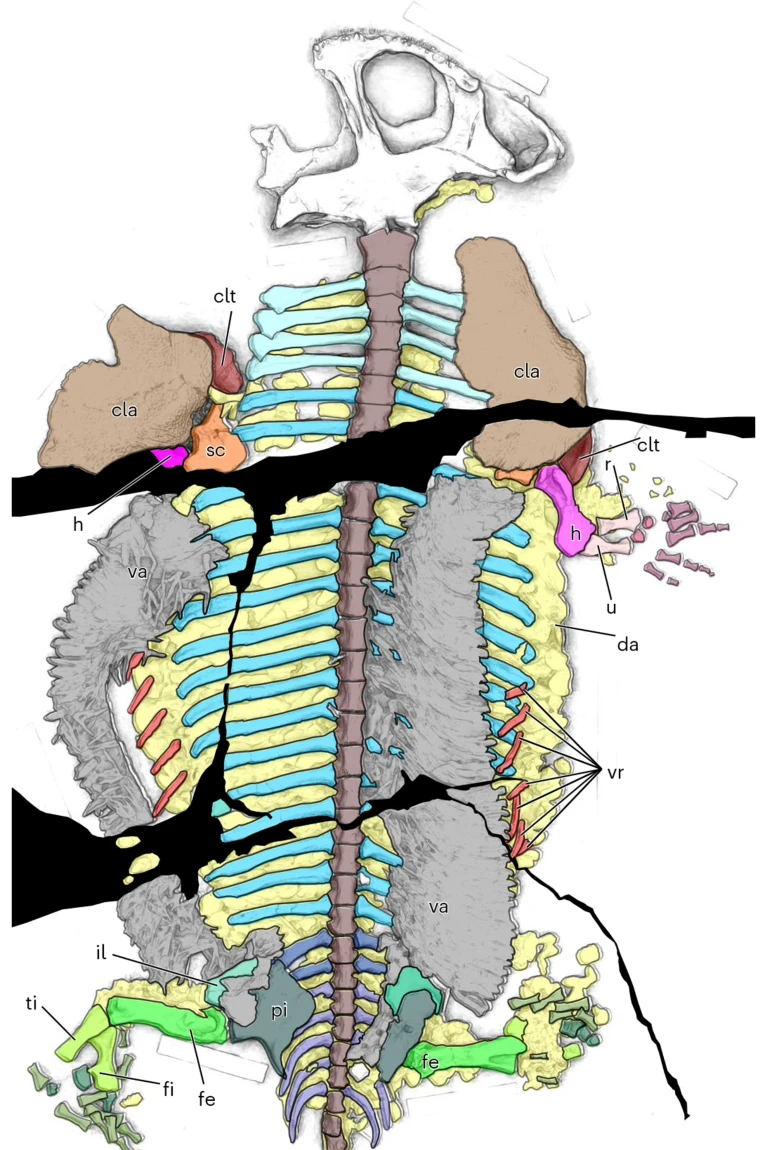 Post image 2