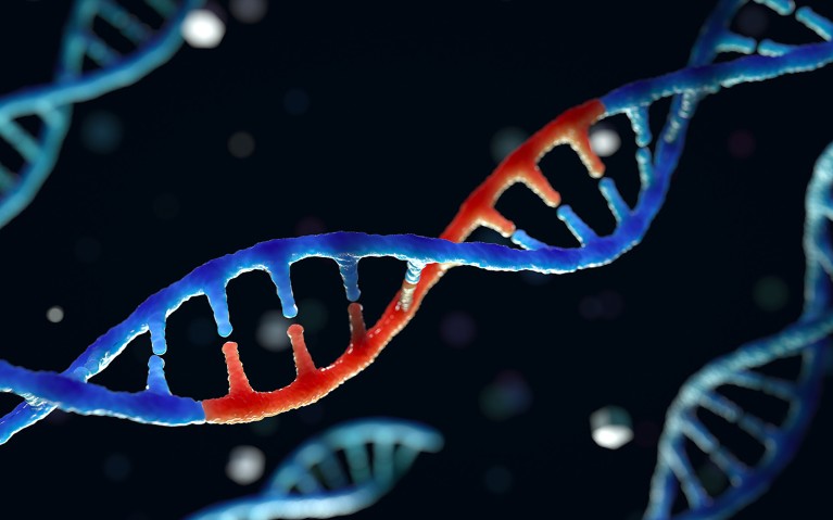 A conceptual 3D rendering of a strand of DNA with coloured section to indicate gene editing.