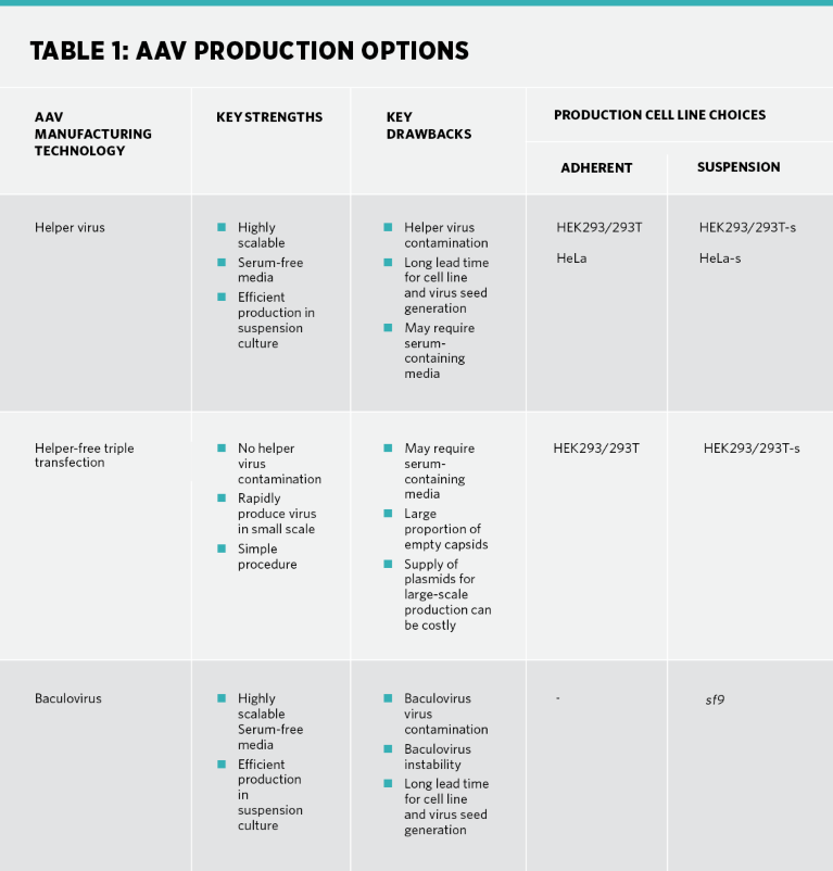 Pros and cons of various recombinant adeno-associated virus (rAAV) manufacturing strategies