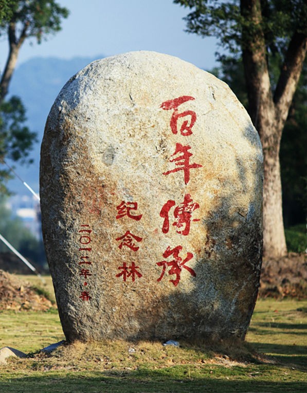 Rock with chinese writing