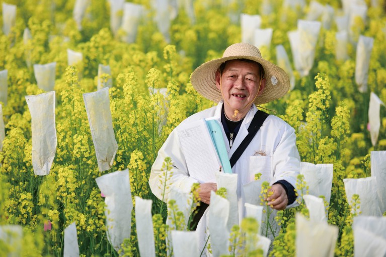 Fu Tingdong, the 80-year-old HZAU professor, is a shining star in rapeseed breeding.