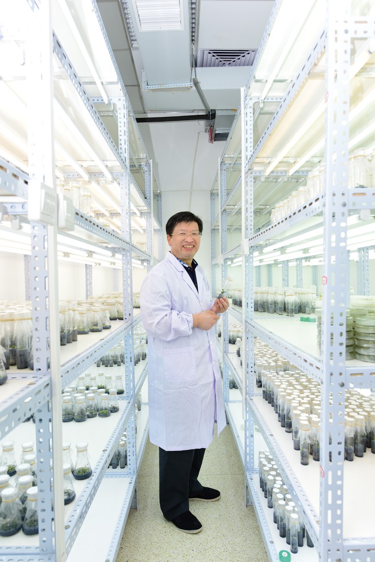 Deng Xiuxin standing in the lab.