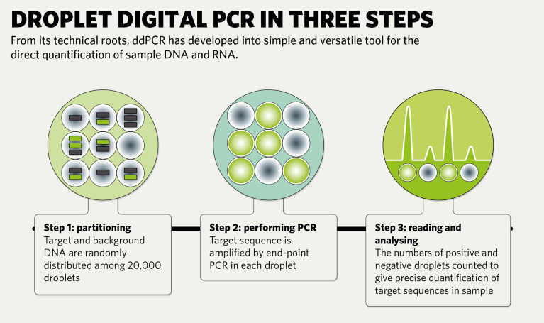 A Quality Control Revolution For Droplet Digital PCR