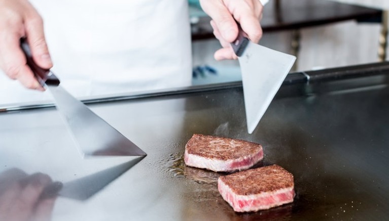 Japanese researcher pushes the boundaries of lab-grown 'real' meat