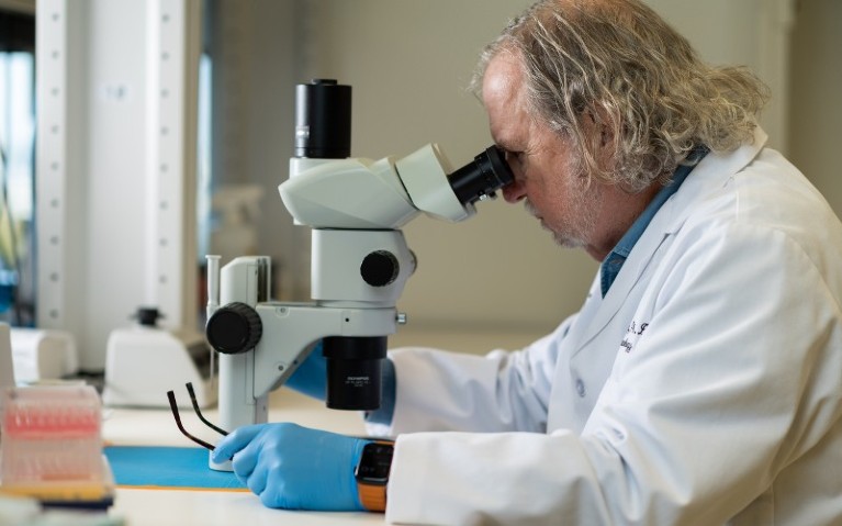 James P Allison works at the microscope in his laboratory