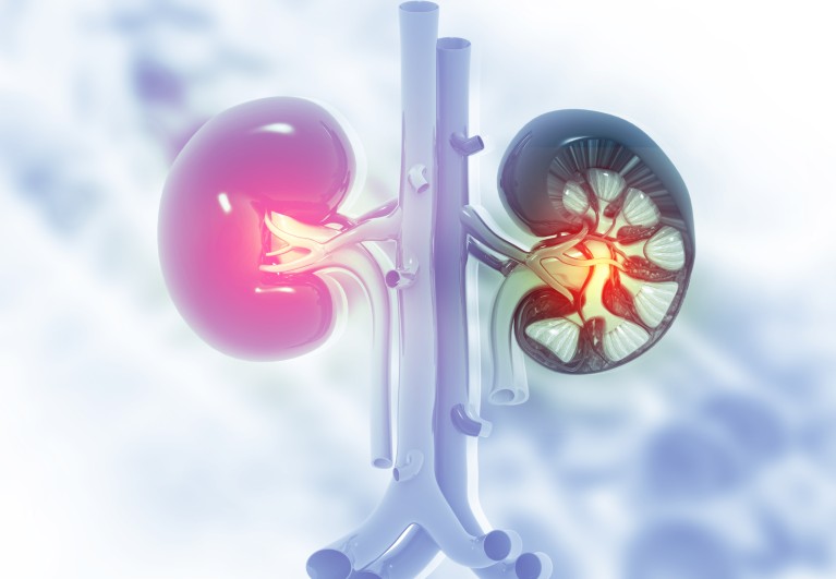 The deadliest kidney tumours share key genetic drivers