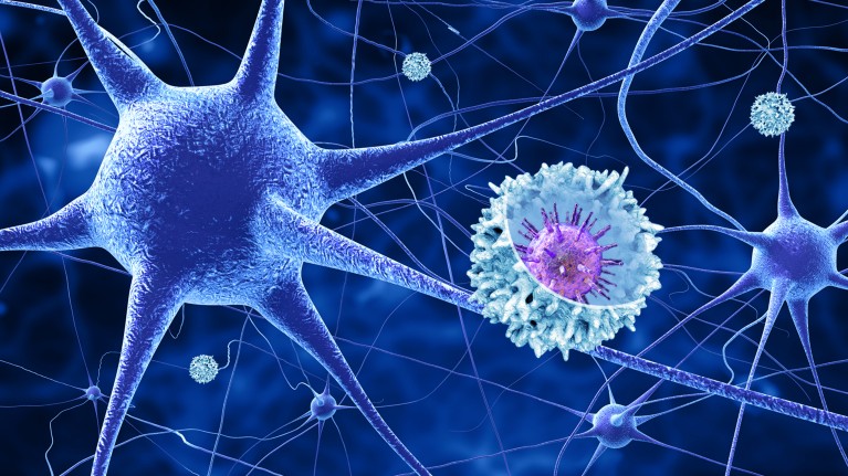 Link Between Epstein-Barr Virus And Multiple Sclerosis Is A Firm Target ...