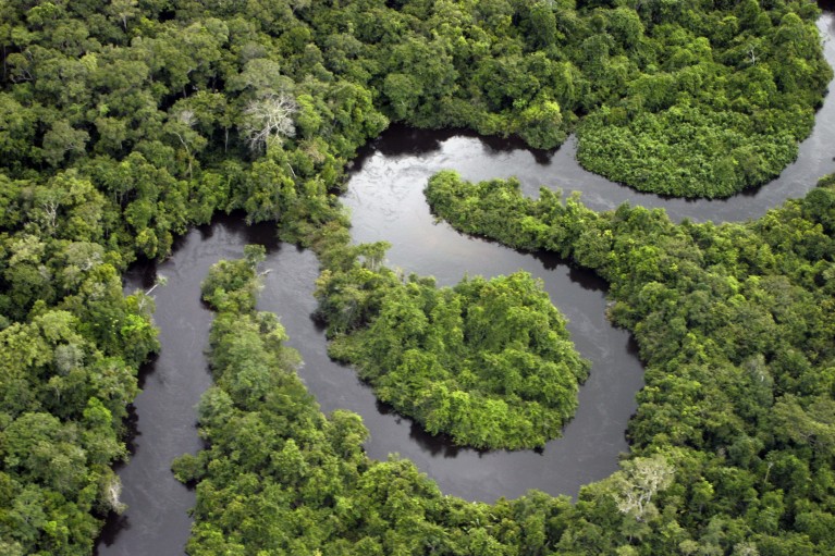 Aerial view of river snaking through dense forest