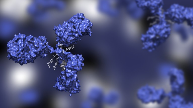 A computer-generated image of an antibody-drug conjugate molecule.