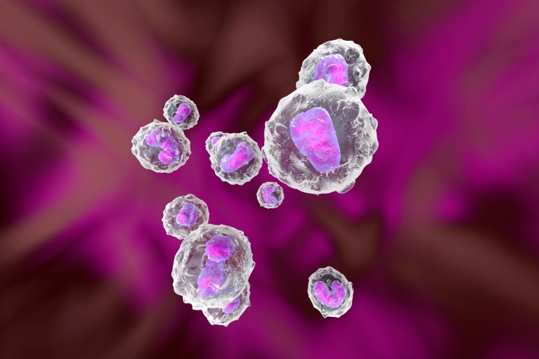 computer generated image of a group of monocytes