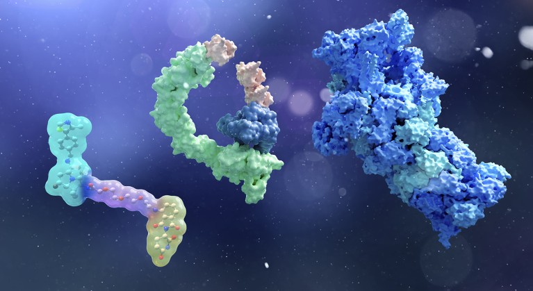 Three-dimensional renderings of complex protein structures float against a dark, speckled background, with one elongated molecule on the left transitioning into a folded green and blue structure in the centre and a dense, irregular blue mass on the right. Semi-transparent colouring reveals internal molecular arrangements, highlighting intricate shapes and binding regions.
