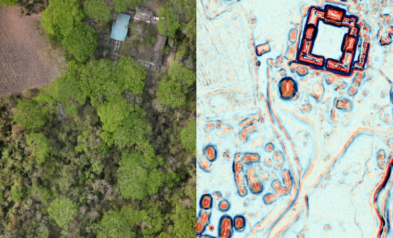 Confronto affiancato di un sito archeologico immerso in una foresta: una fotografia aerea a sinistra mostra rovine in gran parte nascoste sotto la chioma degli alberi, mentre una mappa topografica a colori, a destra, rivela i contorni di strutture quadrate, sentieri e reperti sepolti sotto la vegetazione.