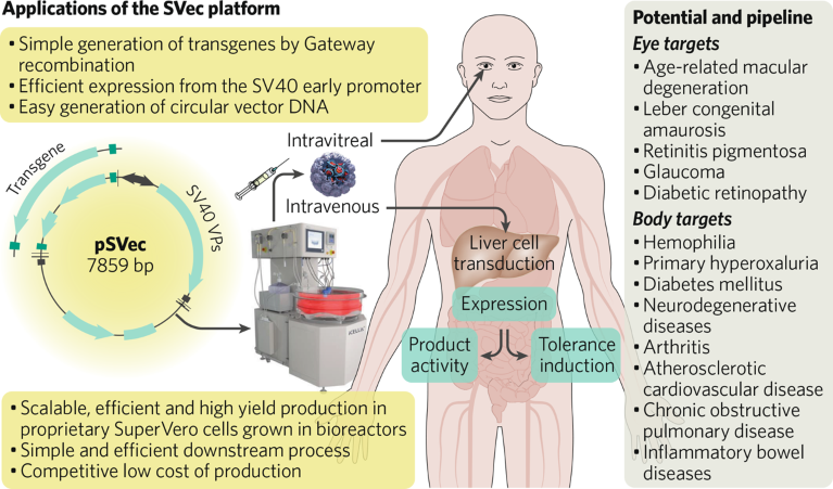 Applications of the SVec platform