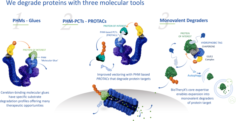 Protein degradation tools