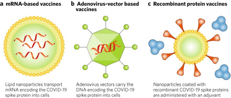 new research about covid vaccine