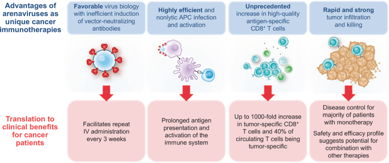 HOOKIPA’s arenavirus-based immunotherapy platform