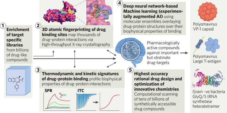 Schematic of Orthogon's drug discovery platform