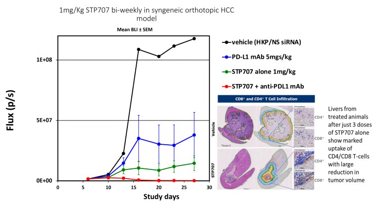 Graph showing the results of a study that targeted tumor proteins using siRNAs and immune checkpoint inhibitors
