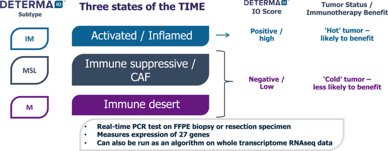 The three states of the tumor microenvironment