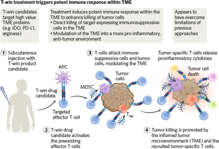 Boosting cancer immunotherapy by neutralizing the immunosuppressive response in the tumor microenvironment