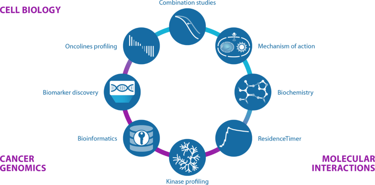 Circular diagram of Oncolines' services in cell biology, cancer genomics and molecular interactions
