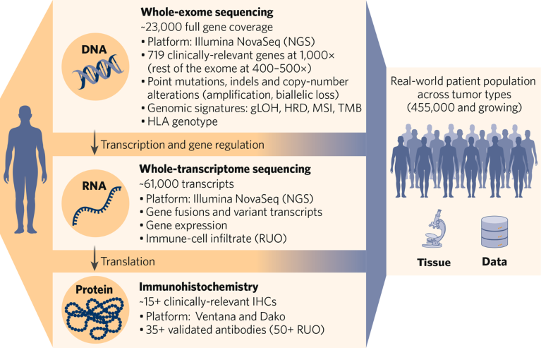 Graphic showing how Caris’ comprehensive platform fuels biopharma solutions