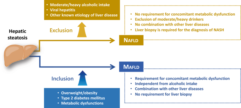 The diagnostic criteria for metabolic dysfunction-associated fatty liver disease and non-alcoholic fatty liver disease
