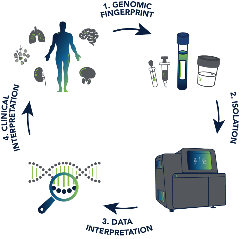 Schematic demonstrating Bio-Techne’s technologies and custom diagnostic approach to biomarker discovery & companion diagnostics