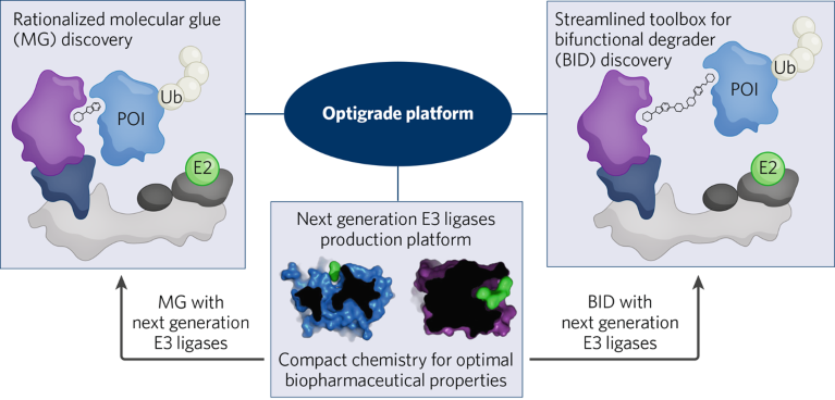 Schematic showing how the Optigrade platform focuses on three main pillars: molecular glues, bifunctional degraders and ligands