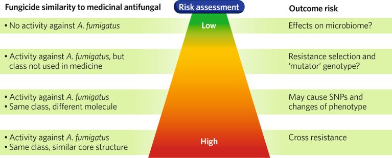 Risk assessment pyramid illustrating the dual use of antifungals in agriculture and the clinic
