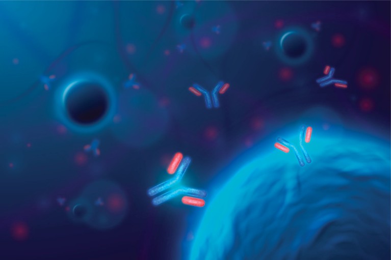Rendering of Aragen's CHO-DG44 and CHO-GS cell lines