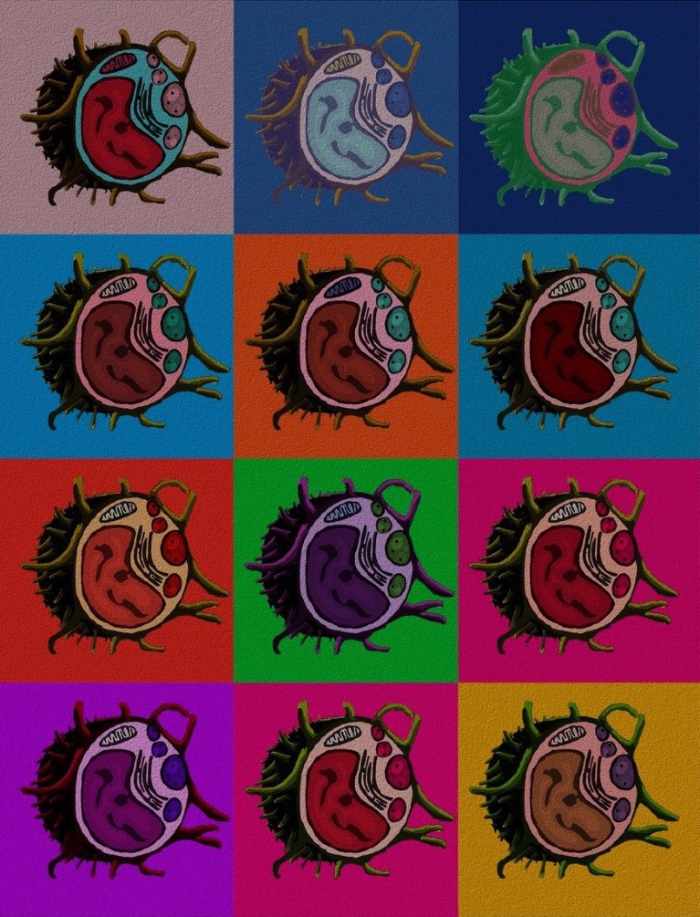 Pop-art image of macrophage disease reprogramming, in a multicoloured grid