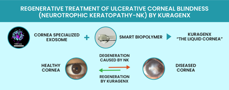 Schematic of the regenerative treatment of ulcerative corneal blindness