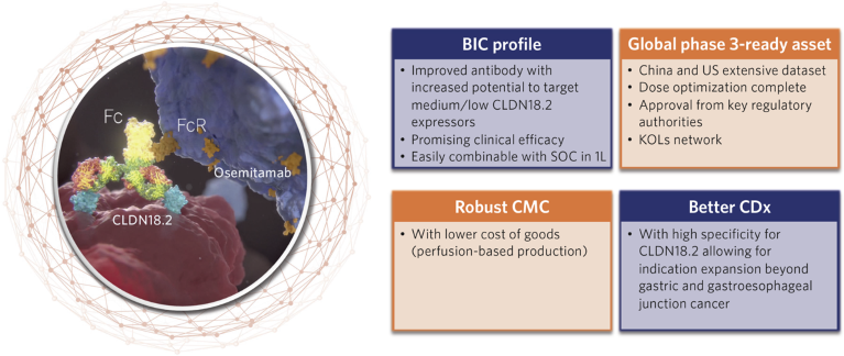 Infographic showing an antibody with text panels for 'BIC profile', 'Global phase 3-ready asset', 'Robust CMC' and 'Better CDx'