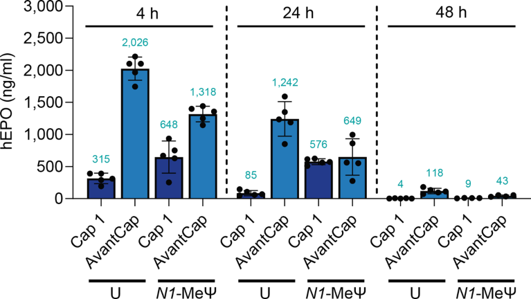 Next-generation cap analogs boost protein expression