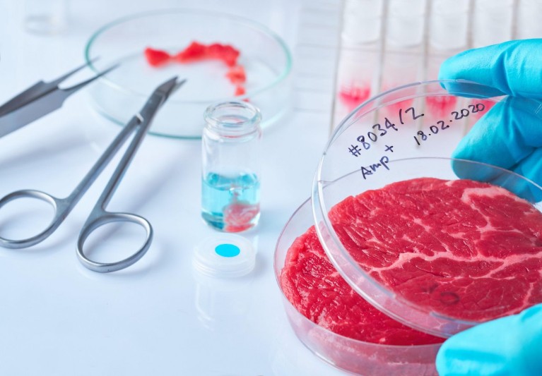 scientists-protest-italy-s-ban-on-cultivated-meat