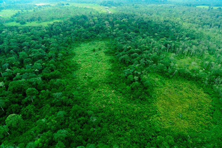 Vue aérienne des tourbières du Parc national d’Odzala-Kokoua, Région de la Cuvette-Ouest, République du Congo.