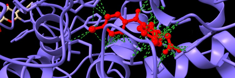 The revolution and evolution of activity-based protein profiling