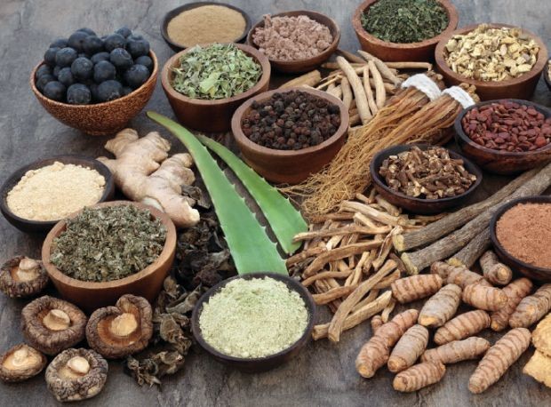 research on ayurvedic medicine