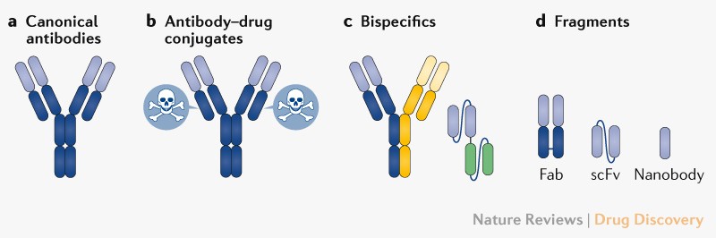 FDA Approves 100th Monoclonal Antibody Product