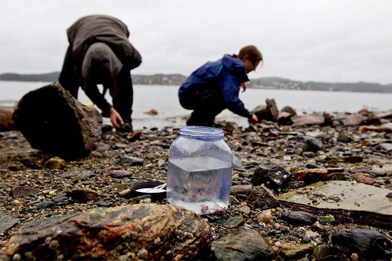Researchers collect specimens in Norway.
